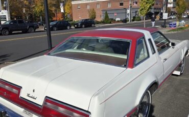 Ford-Thunderbird-1977-White-Lipstick-Red-5