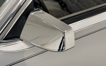 Ford-Thunderbird-1980-Silver-Gray-12