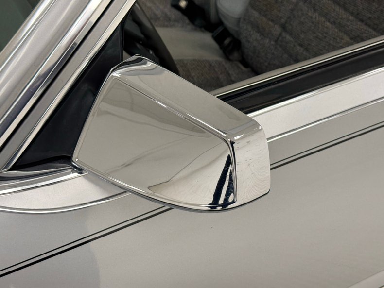 Ford-Thunderbird-1980-Silver-Gray-12