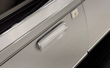 Ford-Thunderbird-1980-Silver-Gray-13