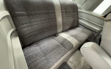 Ford-Thunderbird-1980-Silver-Gray-19