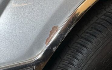 Ford-Thunderbird-1980-Silver-Gray-20