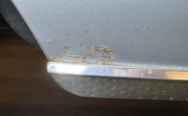 Ford-Thunderbird-1980-Silver-Gray-25