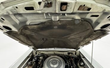 Ford-Thunderbird-1980-Silver-Gray-26