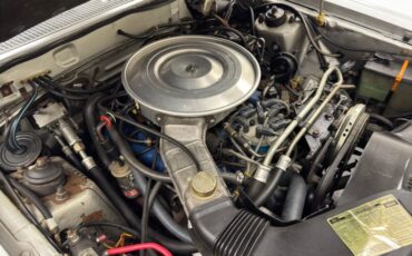 Ford-Thunderbird-1980-Silver-Gray-27