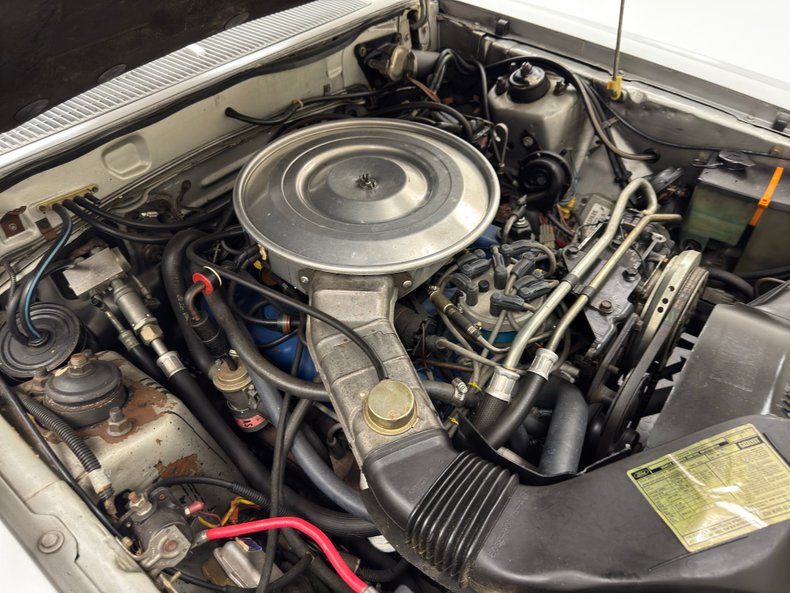 Ford-Thunderbird-1980-Silver-Gray-27