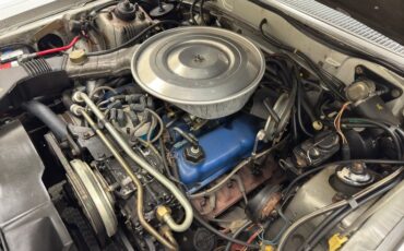 Ford-Thunderbird-1980-Silver-Gray-29