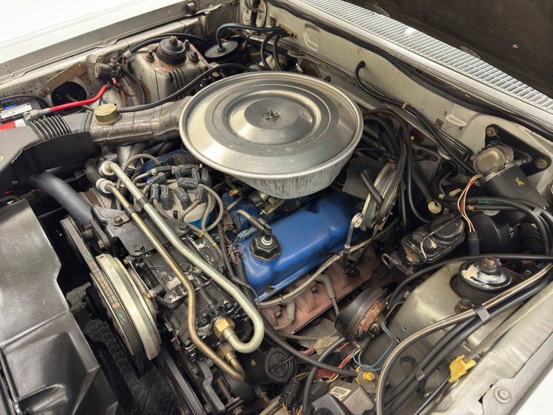 Ford-Thunderbird-1980-Silver-Gray-29