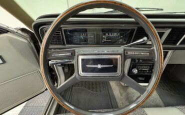 Ford-Thunderbird-1980-Silver-Gray-41