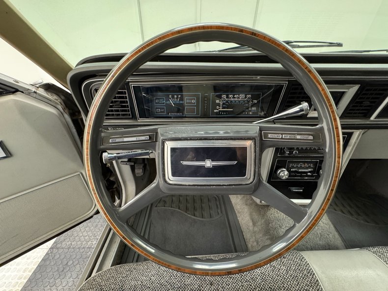 Ford-Thunderbird-1980-Silver-Gray-41