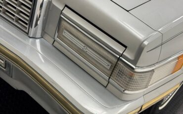 Ford-Thunderbird-1980-Silver-Gray-8