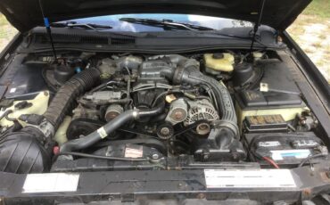 Ford-Thunderbird-1989-Blue-Gray-2