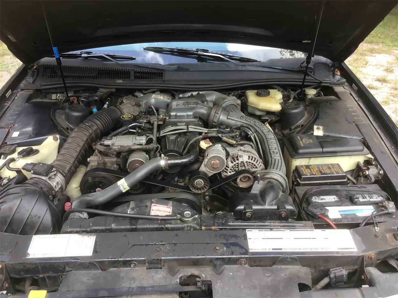 Ford-Thunderbird-1989-Blue-Gray-2