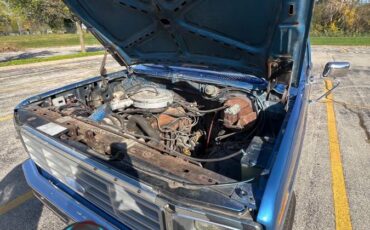 Ford-f-150-1984-blue-6