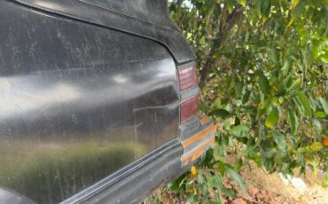 Ford-mustang-svo-1984-black-2