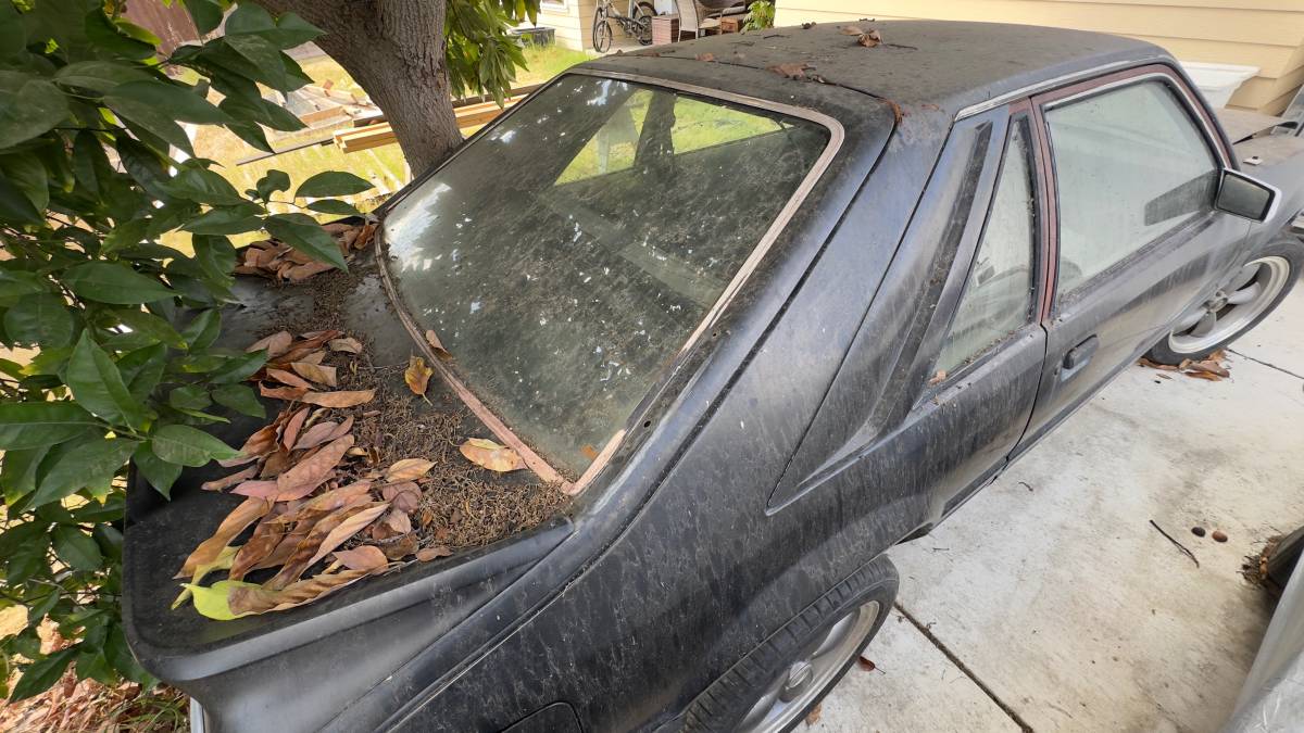 Ford-mustang-svo-1984-black-7