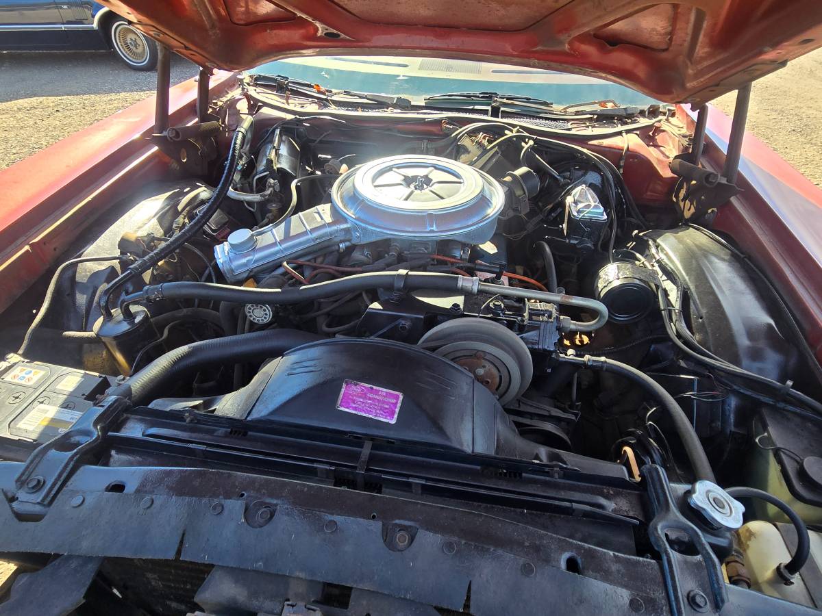 Ford-thunderbird-1978-red-1