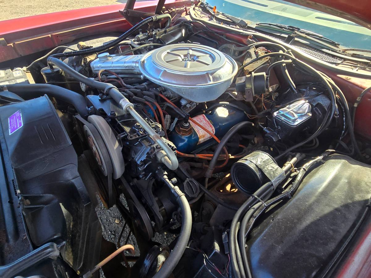 Ford-thunderbird-1978-red-2