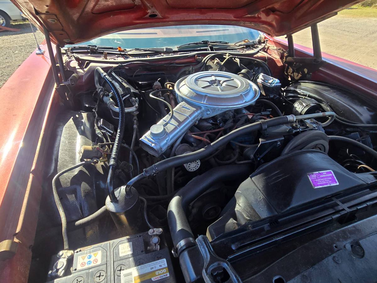 Ford-thunderbird-1978-red-3