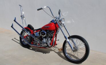 Harley-Davidson-FL-1959-38