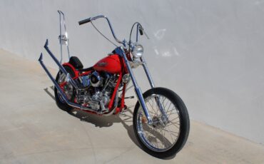 Harley-Davidson-FL-1959-39