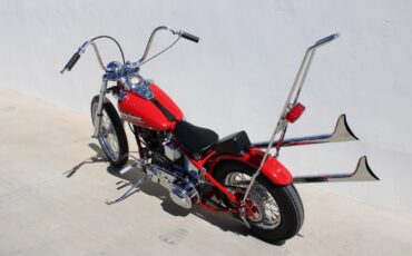 Harley-Davidson-FL-1959-9