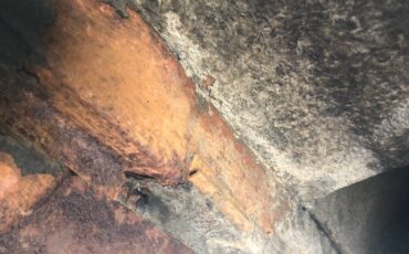 Hudson-wasp-1954-blue-8