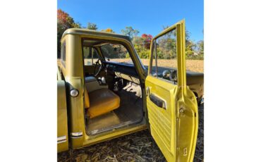 International-Harvester-1975-Pea-Green-Beige-12