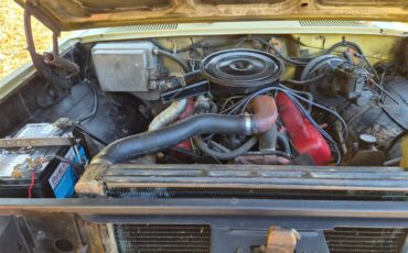 International-Harvester-1975-Pea-Green-Beige-2