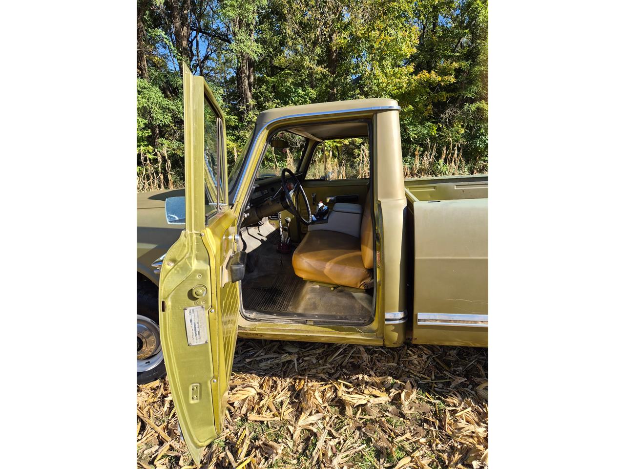 International-Harvester-1975-Pea-Green-Beige-6