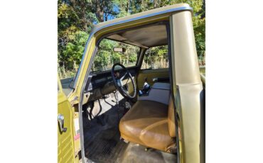 International-Harvester-1975-Pea-Green-Beige-7