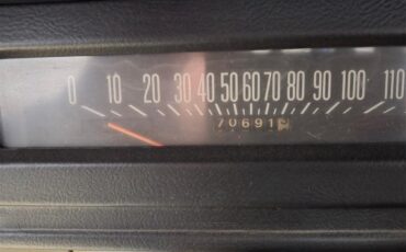 International-Harvester-1975-Pea-Green-Beige-9