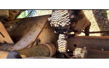 International-harvester-Scout-1966-White-White-9