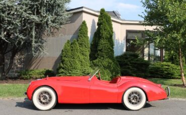 Jaguar-Other-1952-Red-Black-2