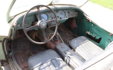 Jaguar-Other-1955-Green-Black-5