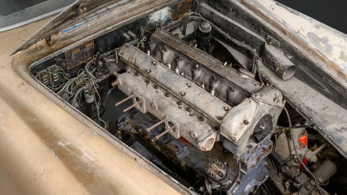 Jaguar-Other-1955-Primer-Black-6