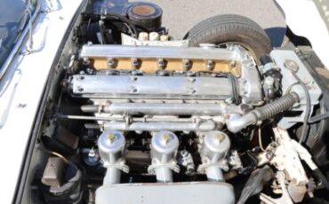 Jaguar-Other-1963-White-Red-7