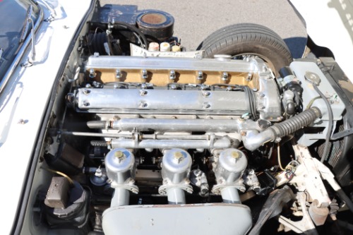 Jaguar-Other-1963-White-Red-7