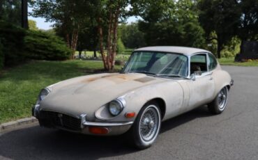 Jaguar-Other-1972-Tan-Tan