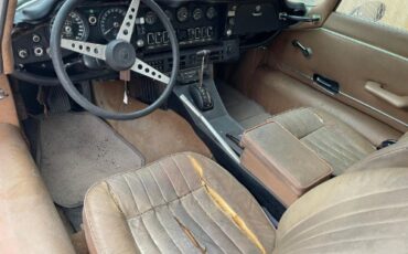 Jaguar-Other-1972-Tan-Tan-4