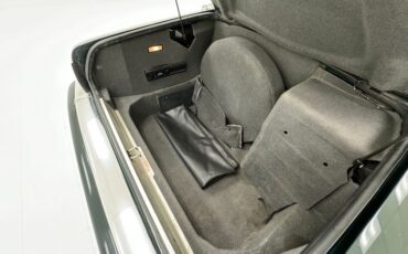 Jaguar-Other-1995-British-Racing-Green-Barley-5