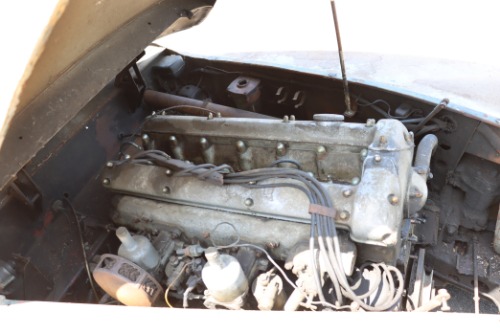 Jaguar-Xk120-1950-Ivory-Red-7