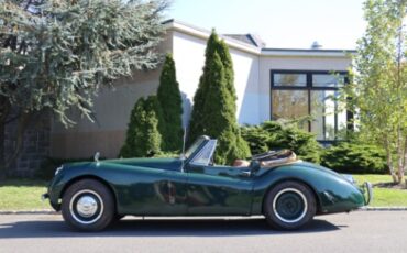Jaguar-Xk120-1953-Green-Tan-2
