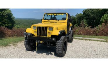 Jeep-Yj5-1994-Yellow-and-black-Yellow-and-black-1