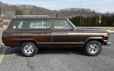 Jeep-cherokee-1979-brown-4