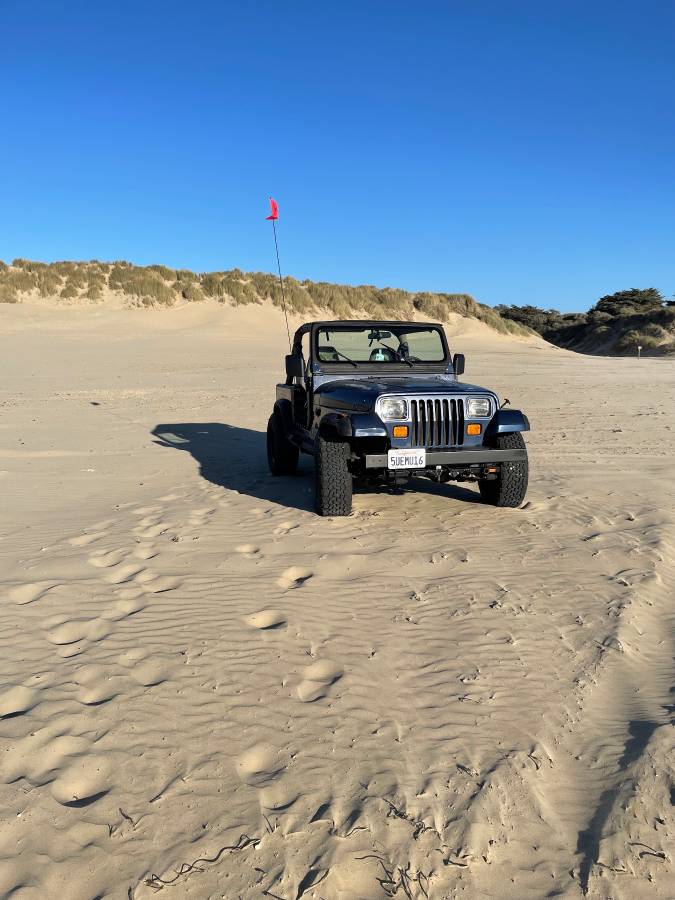 Jeep-wrangler-1991-blue-1