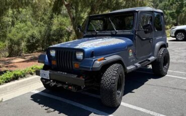 Jeep-wrangler-1991-blue-2