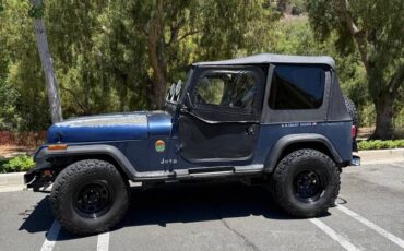 Jeep-wrangler-1991-blue-3