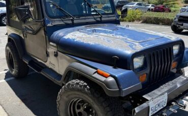 Jeep-wrangler-1991-blue-5