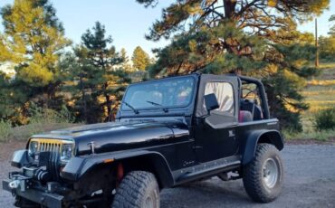 Jeep-wrangler-1992-black